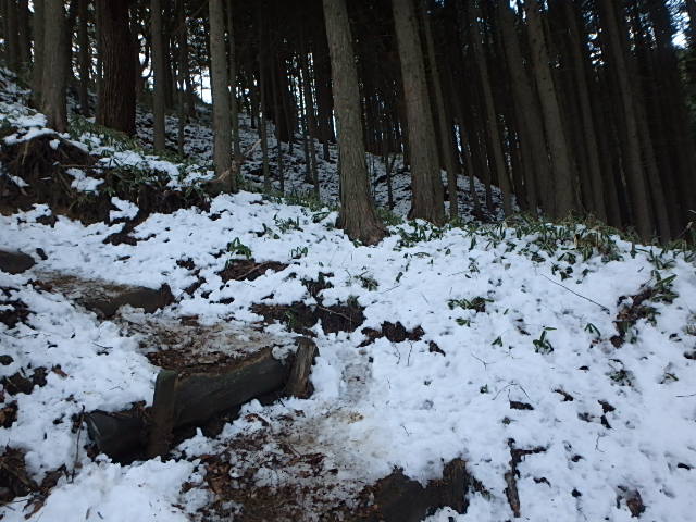 f0334143_824668.jpg