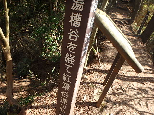f0334143_831284.jpg