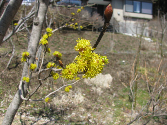 f0151044_834542.jpg