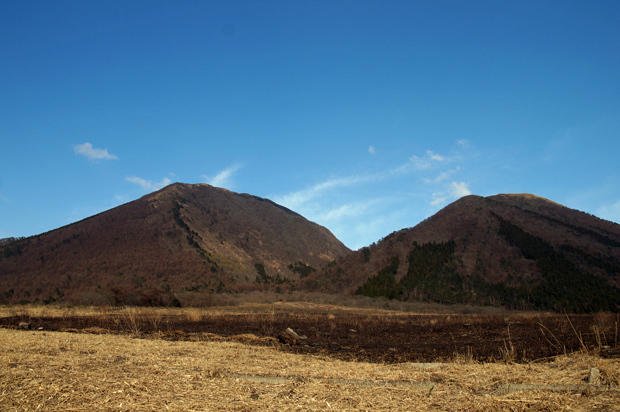 末黒野 清治の花便り 末黒野 清治の花便り