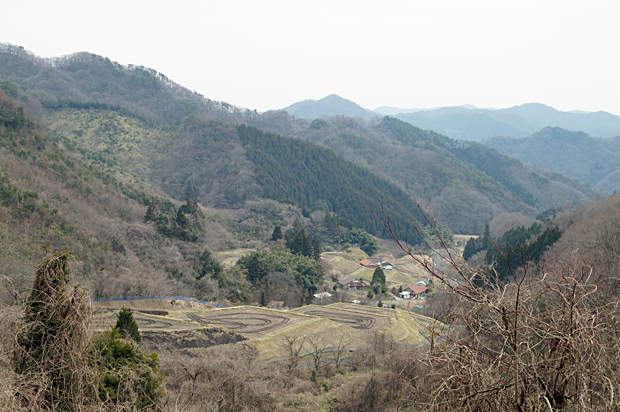 末黒野 清治の花便り 末黒野 清治の花便り