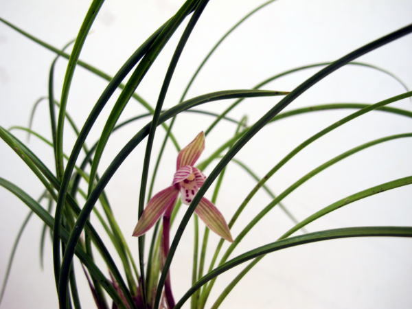 c0147952_17104550.jpg