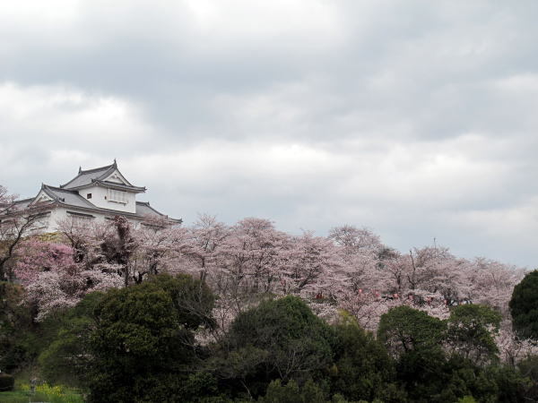 c0147952_17292342.jpg