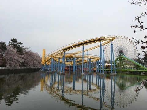 a0346455_16591067.jpg