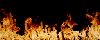 c0119160_62113.gif