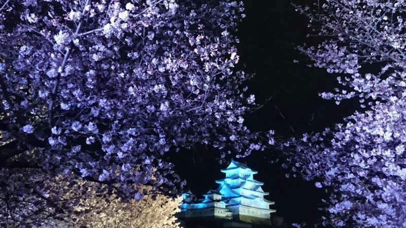 春_b0328361_21260296.jpg