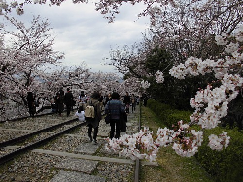 青春18きっぷ　in　京都　南禅寺　岡崎疎水_a0331562_19264390.jpg