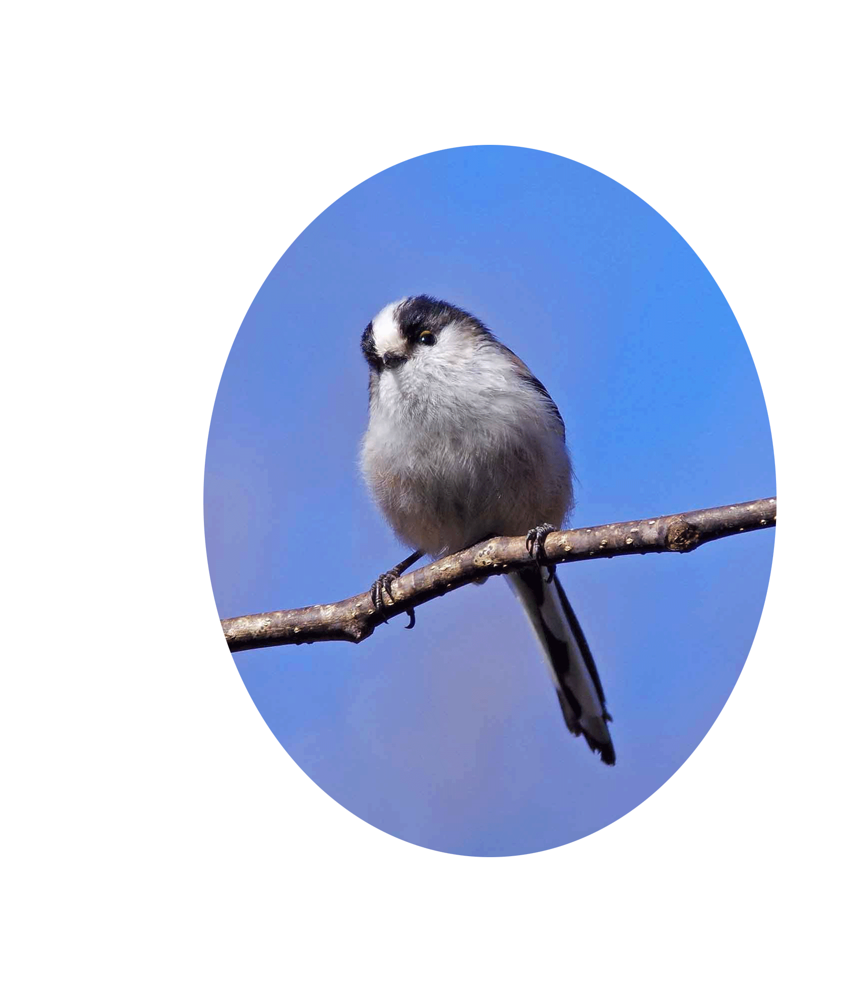 c0176183_12483128.png