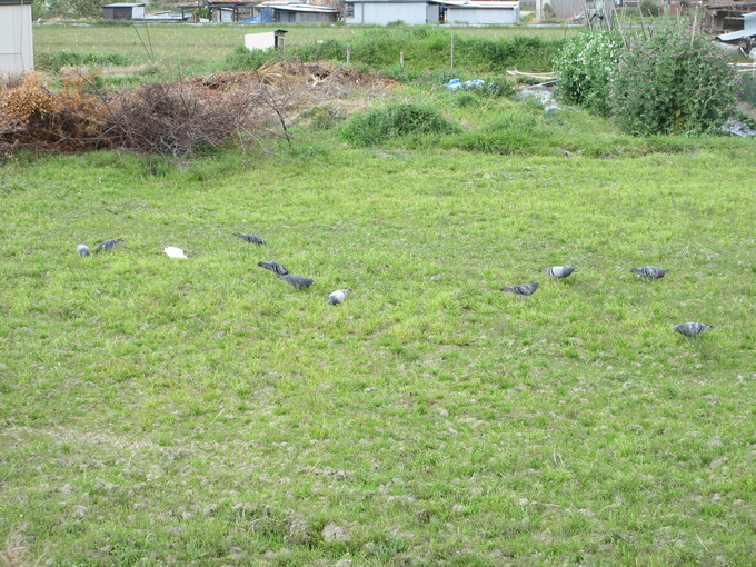 f0053885_2144789.jpg