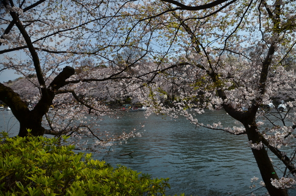 a0288500_109583.jpg