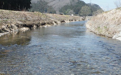 b0172805_01312010.jpg