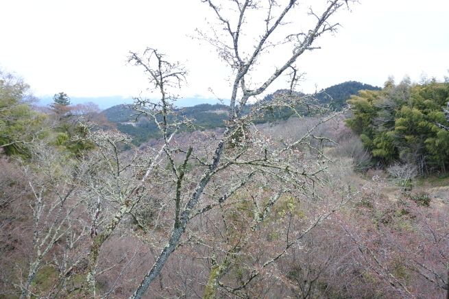 f0297809_23341579.jpg