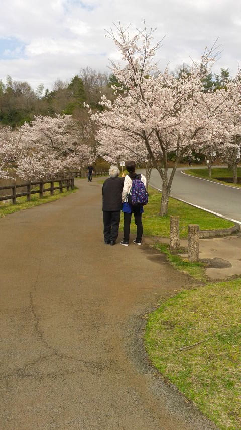 天啓の里_a0154110_16031639.jpg