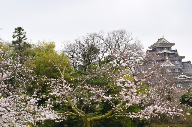 f0368610_20090566.jpg