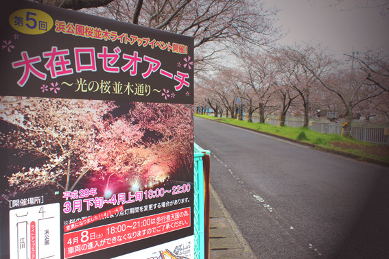 a0329820_12375659.jpg