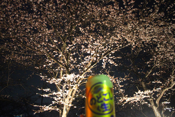 a0329820_21350829.jpg