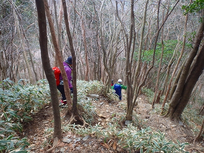 花の宝庫　井原山と基山へ_f0193521_5281349.jpg