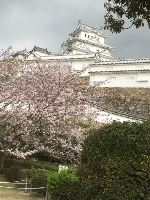 説明会開催のご案内&姫路城バスツアー_a0250024_18282614.jpg