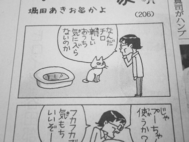 続 聖教新聞の四コマ漫画 創価の森通信