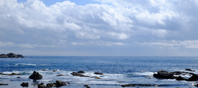 「千葉・鴨川たのしー旅 きんめしゃぶしゃぶの和だいこん」_a0000029_1445362.jpg