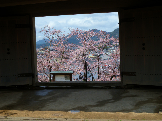 臼杵城址の桜！_e0272335_17403052.jpg