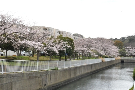 f0232136_15172513.jpg