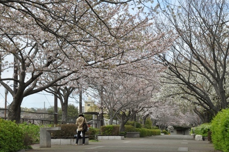 f0232136_15174724.jpg