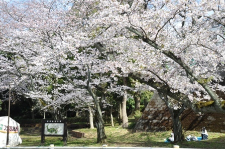 f0232136_15181576.jpg