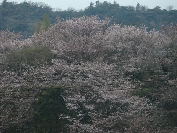 a0054240_18291212.jpg