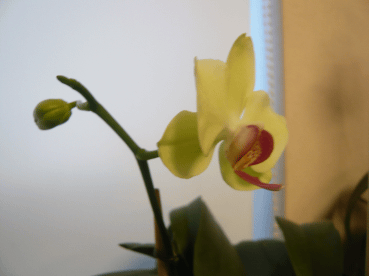 c0365341_21051699.gif