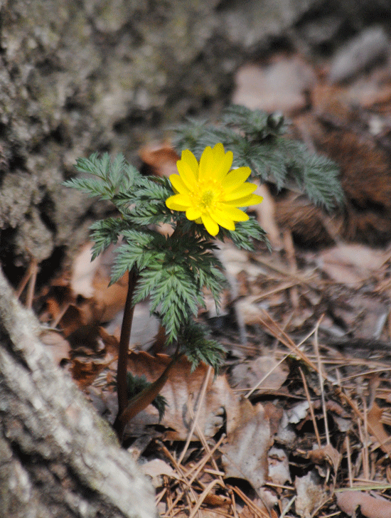 a0001354_23260660.gif