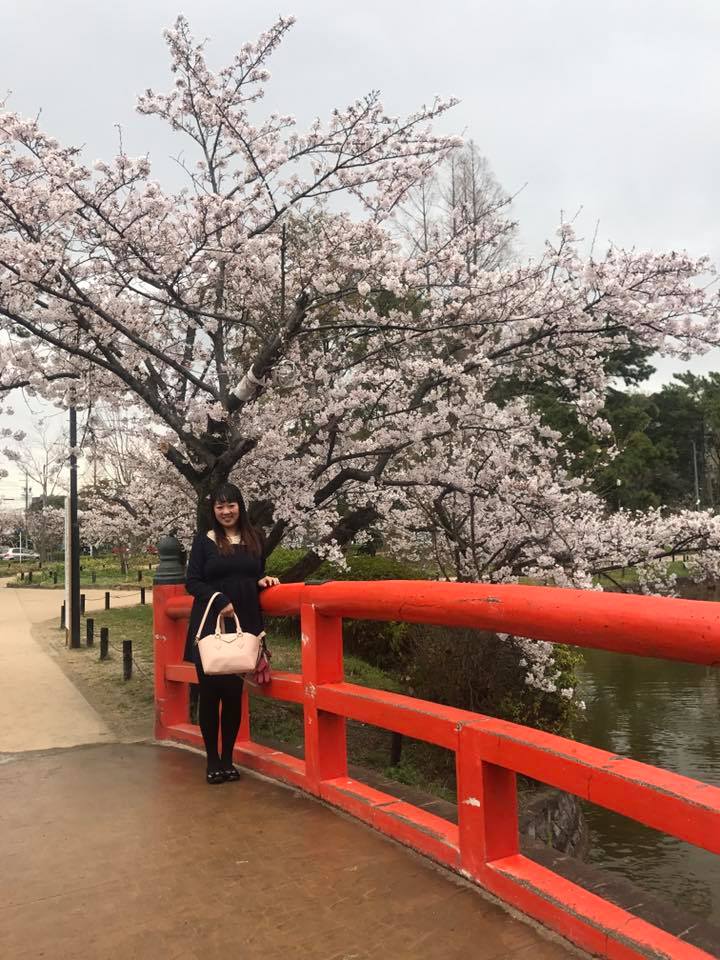 「亀城公園 桜まつり」_f0109257_2222010.jpg