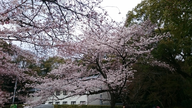 c0328559_14274705.jpg