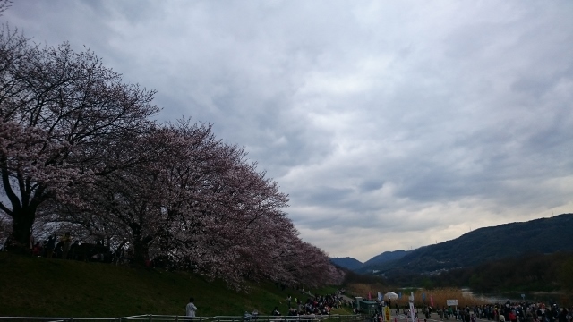 c0328559_14290537.jpg