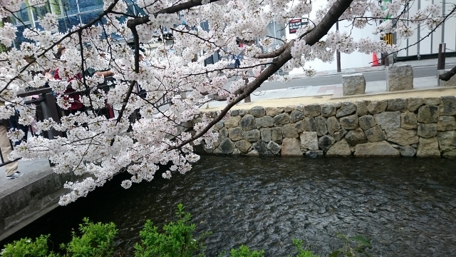 c0328559_15024728.jpg