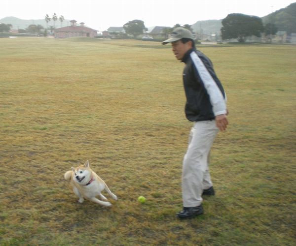 ’17,4,7(金)勝浦の2004年~2011年の春!_f0060461_08521085.jpg