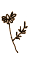 e0367274_09524704.gif