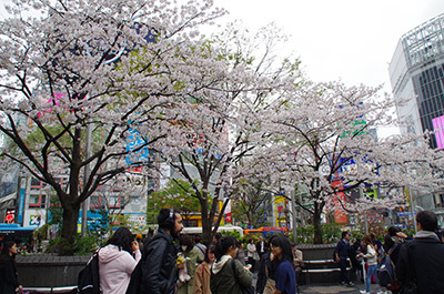 4月7日(金)今日の渋谷109前交差点_b0056983_11390736.jpg