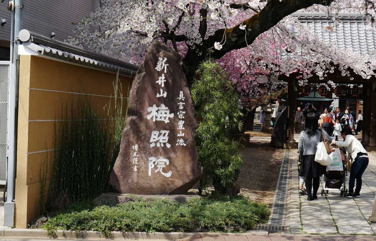 c0252688_15123759.jpg