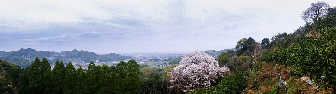 e0176993_07382637.jpg