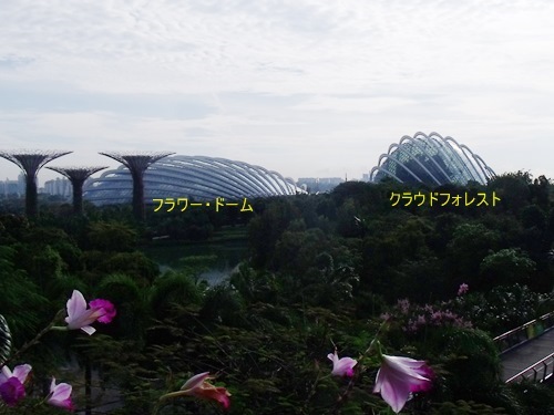 c0017802_15231668.jpg
