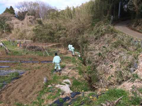 e0270403_22180940.jpg
