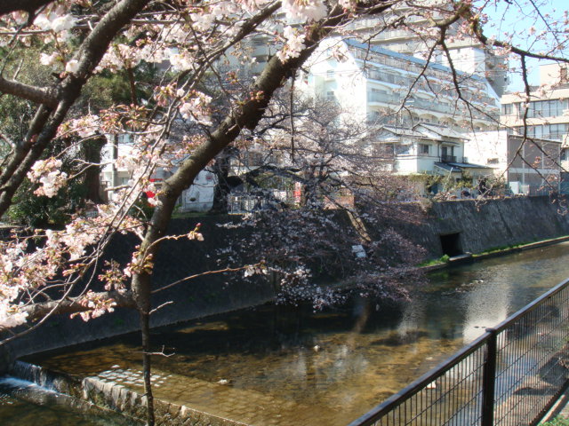 a0167204_14515896.jpg