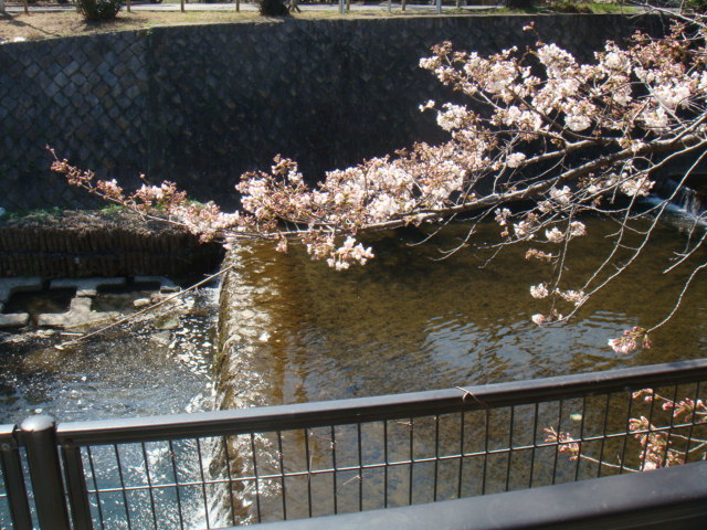 a0167204_14520401.jpg