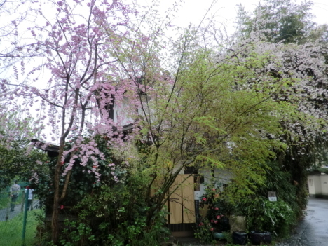 f0173908_14304282.jpg