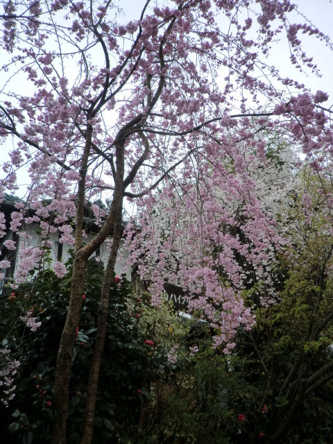f0173908_14312762.jpg
