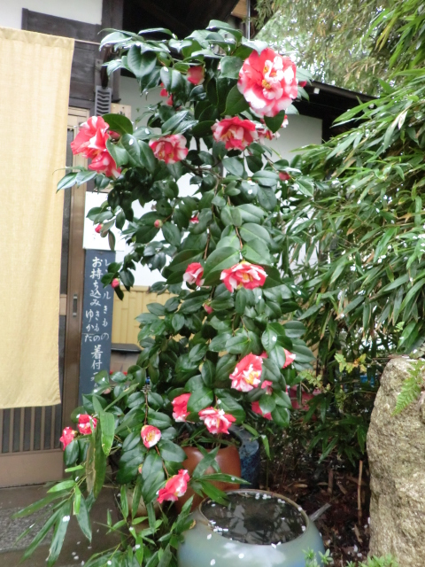 f0173908_14315917.jpg