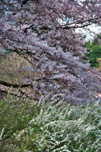 a0263109_16313017.jpg