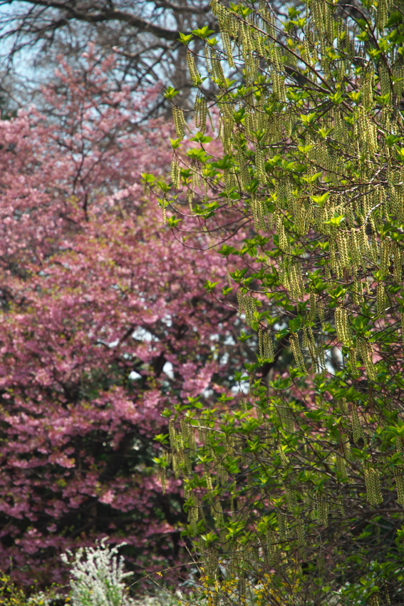 a0263109_16313175.jpg