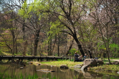 a0263109_16313286.jpg